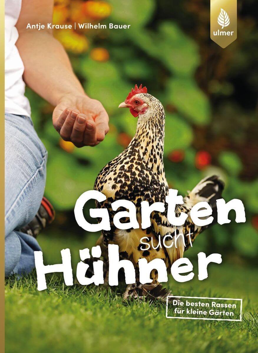 Garten sucht Hühner: Die besten Rassen für kleine Gärten